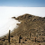 Uyuni - Isla Pescadores
